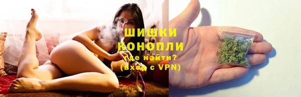 мдпв Всеволожск