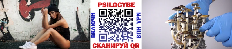 Галлюциногенные грибы Cubensis  Белёв 
