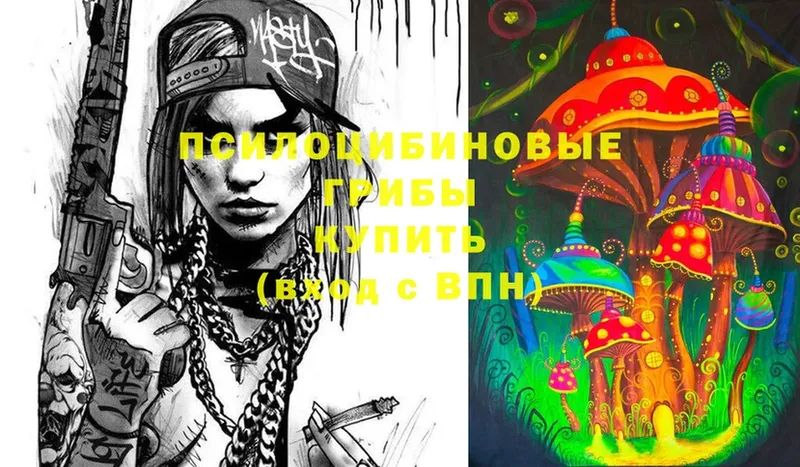 Псилоцибиновые грибы Psilocybine cubensis  Белёв 