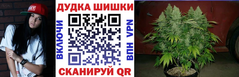 хочу наркоту  Белёв  Конопля AK-47 